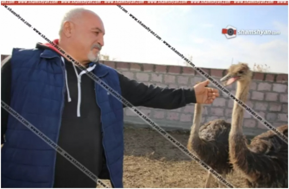 Մասիս-Չարբախ ավտոճանապարհի հարևանությամբ գտնվող ջայլամաբուծական ֆերմայում կրակnց է հնչել. կա վիրավnր քաղաքացի